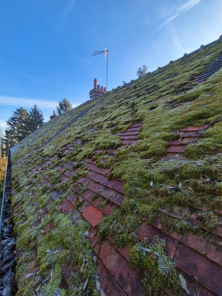 Cette image a un attribut alt vide ; le nom du fichier est 20241129_104923.jpg